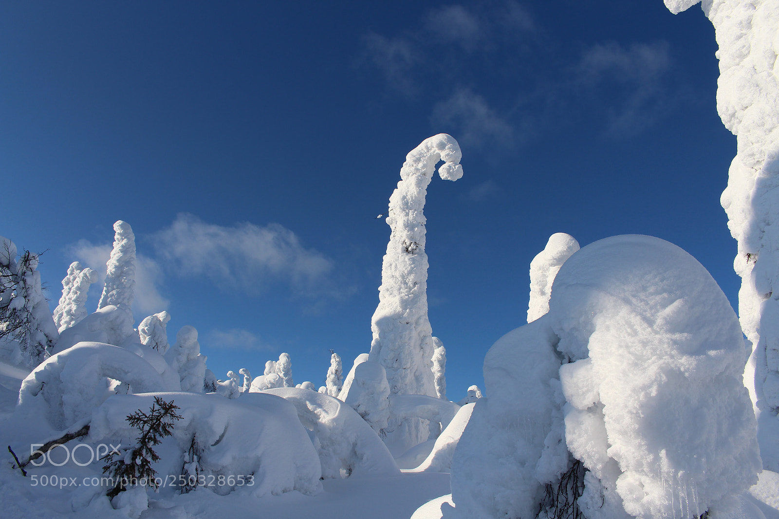 Canon EOS 700D (EOS Rebel T5i / EOS Kiss X7i) sample photo. Valtavaara photography