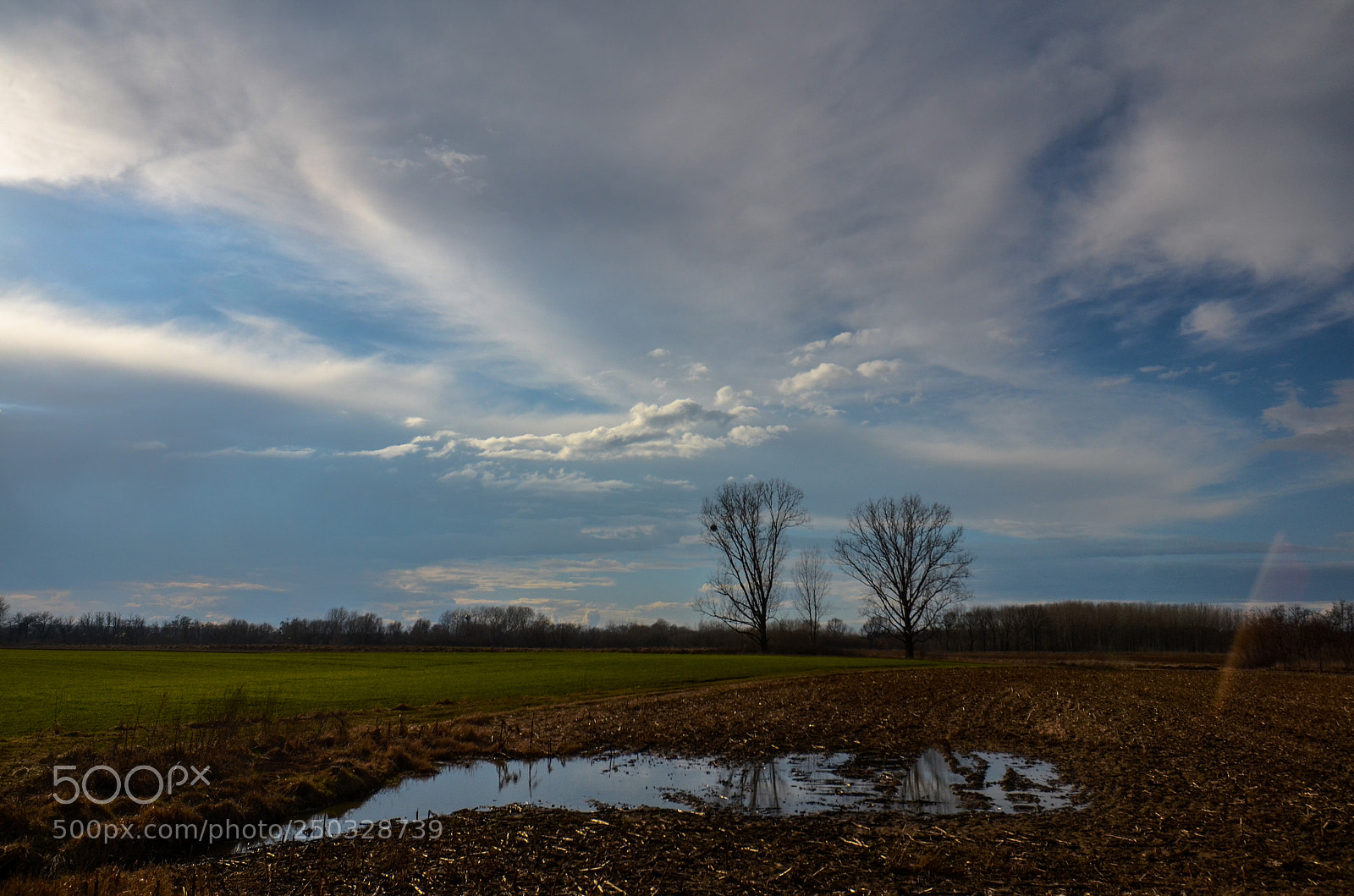 Nikon D5100 sample photo. Landscape in spring photography