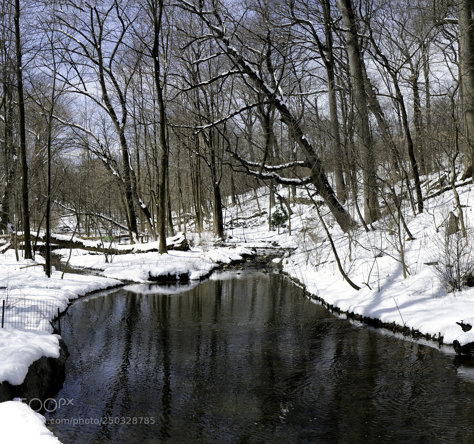 Sony a7R II sample photo. Central park ravine photography