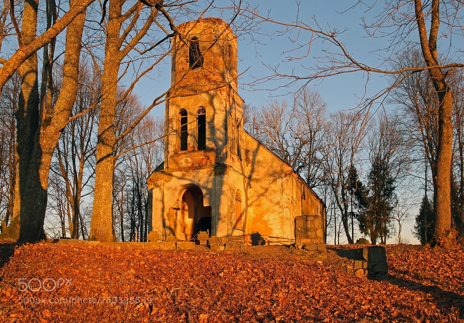 Canon EOS 60D sample photo. Египетская лютеранская  кирха photography