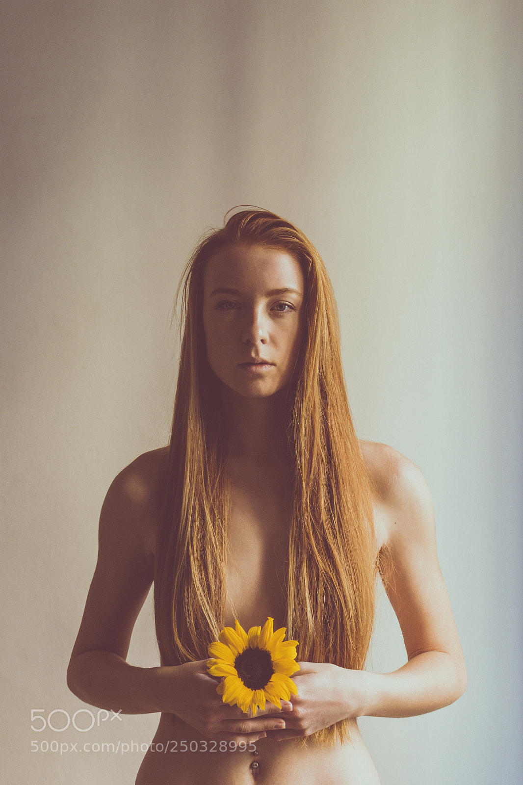 Canon EOS 700D (EOS Rebel T5i / EOS Kiss X7i) sample photo. Yellow sunflower photography