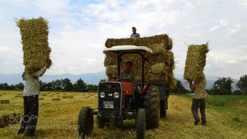 Samsung Galaxy J2 sample photo. çiftçi,farmer photography