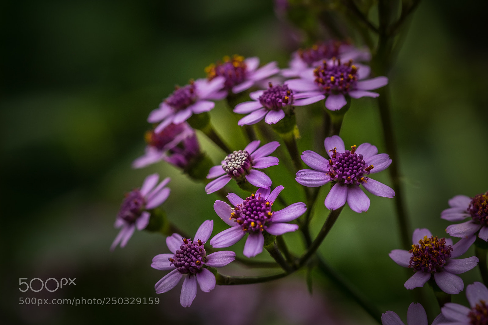Fujifilm X-T1 sample photo. Unbekannt photography