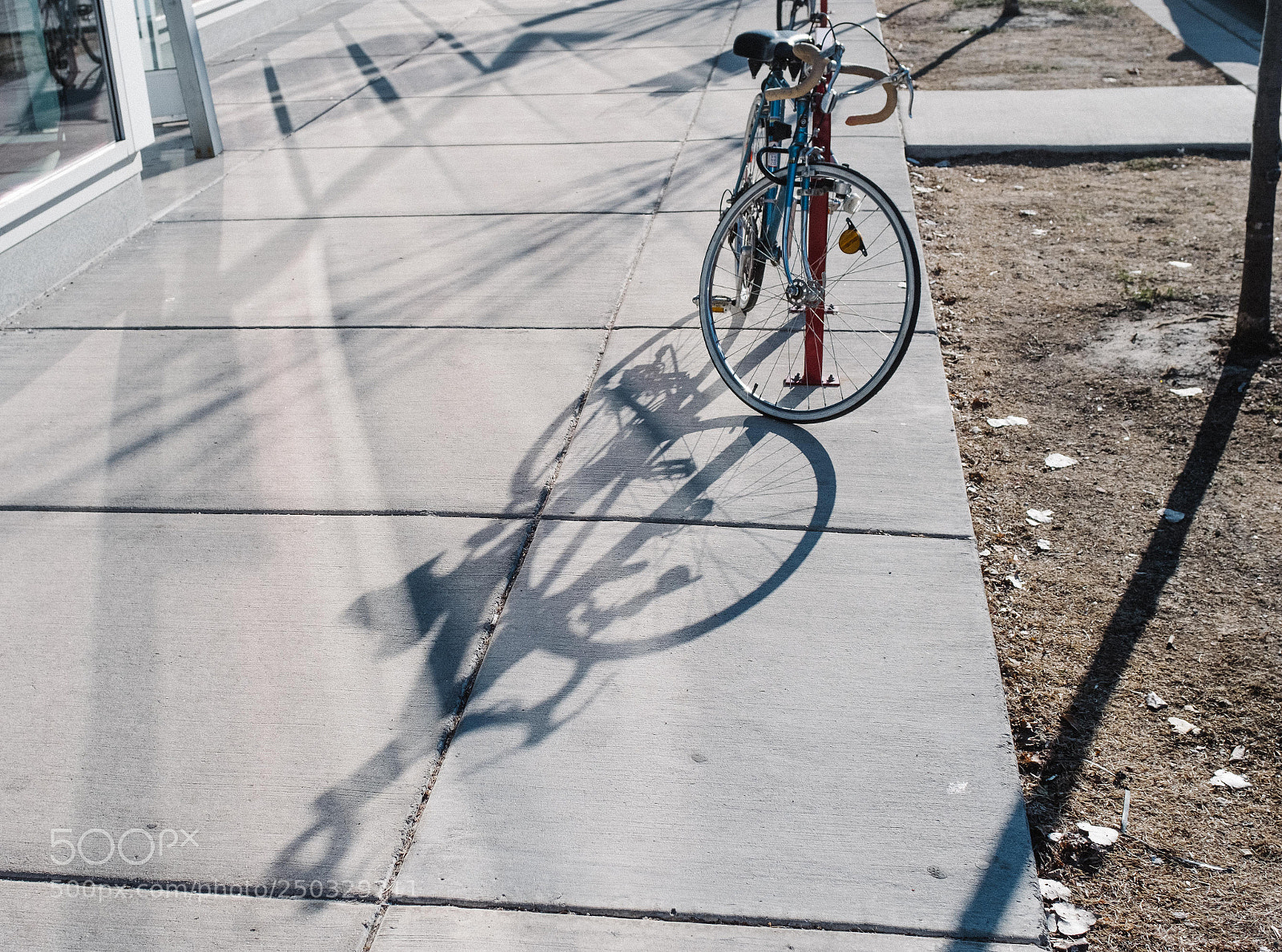 Fujifilm X-T20 sample photo. Marchexports photography