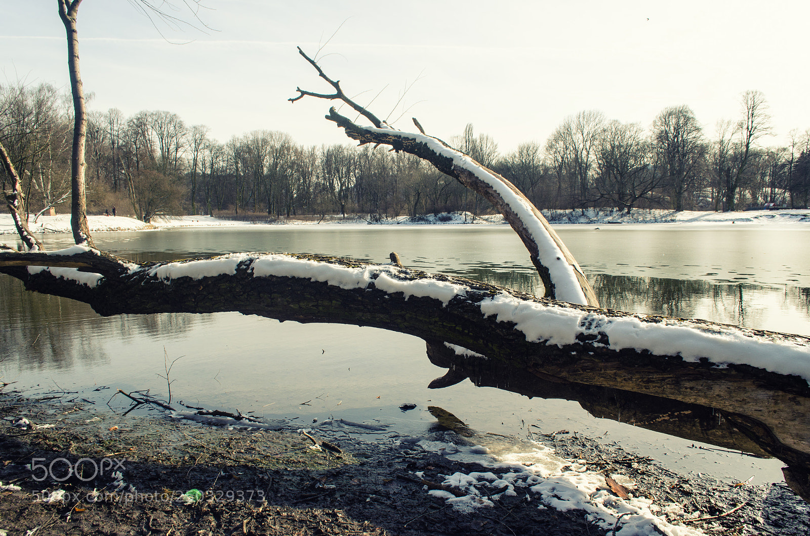 Nikon D5100 sample photo. Winter lake photography