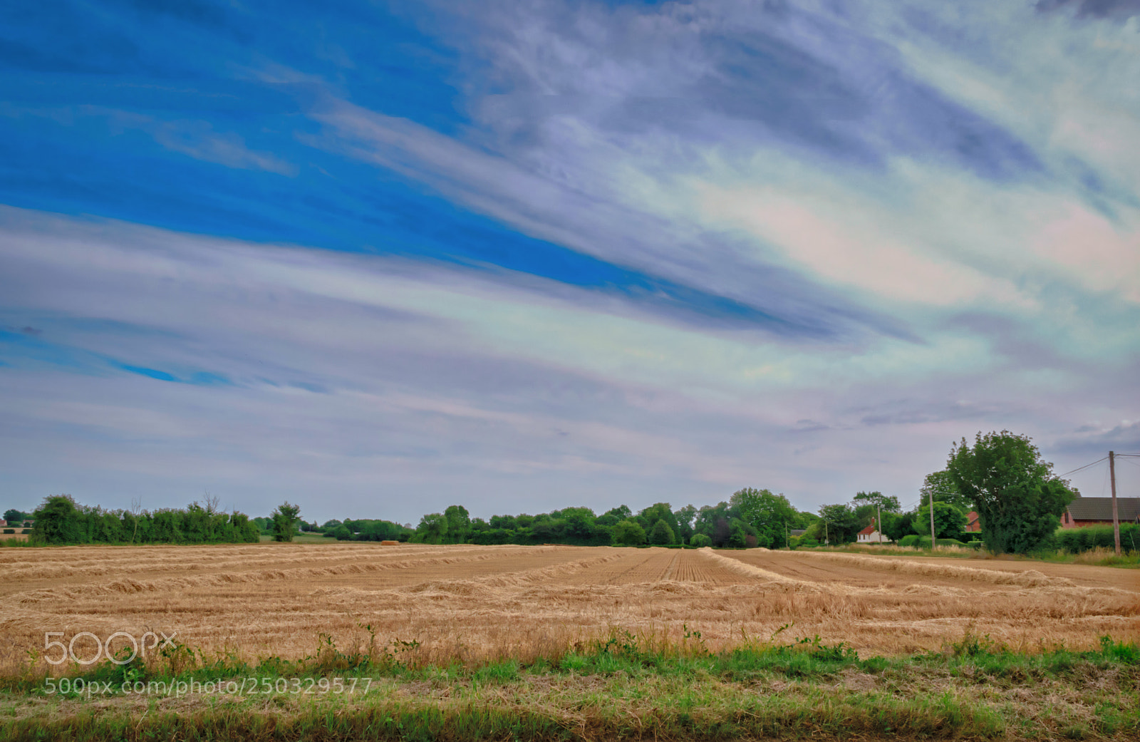 Nikon D5300 sample photo. A country evening photography