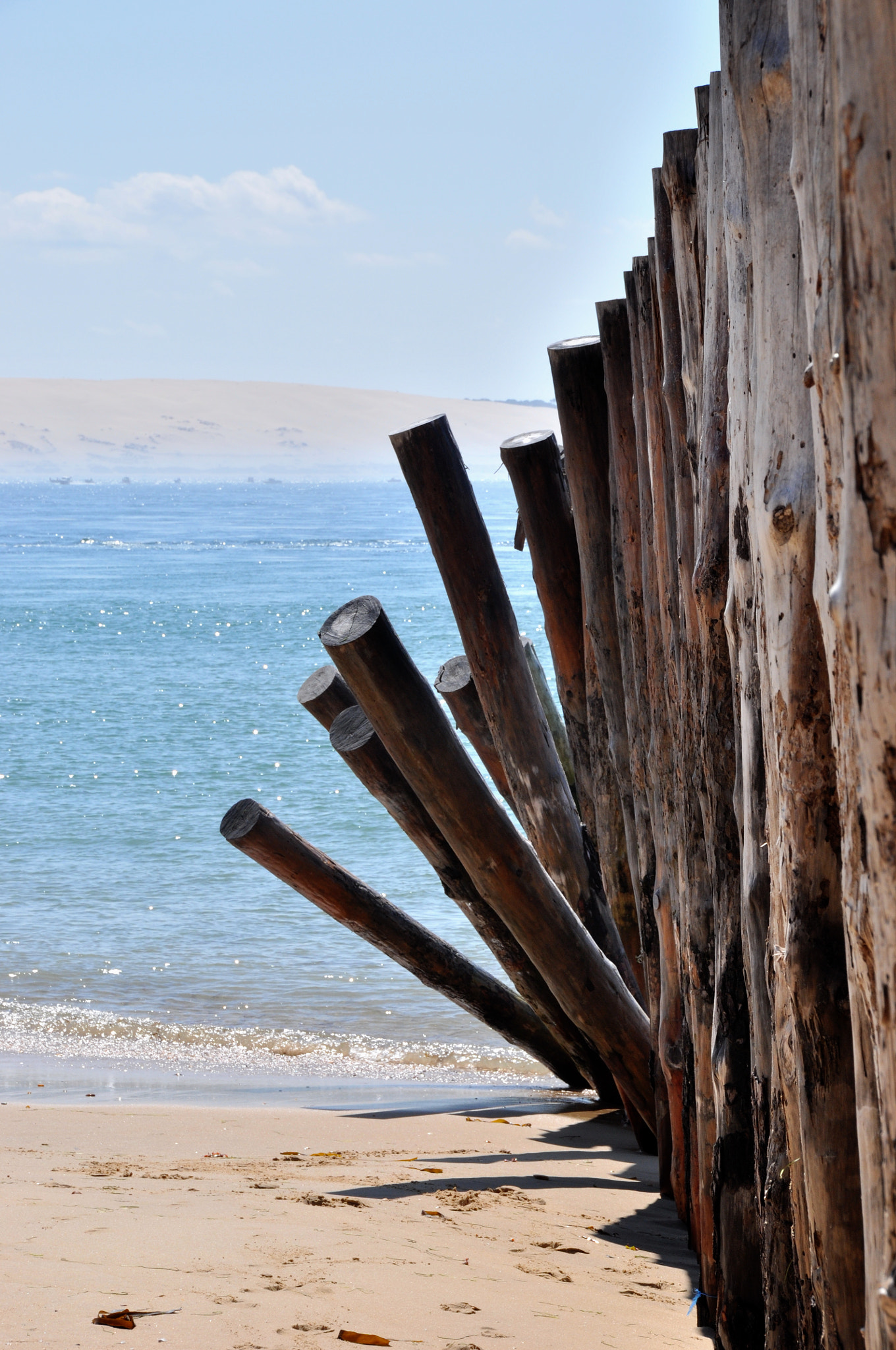 Nikon D90 sample photo. Hms photography