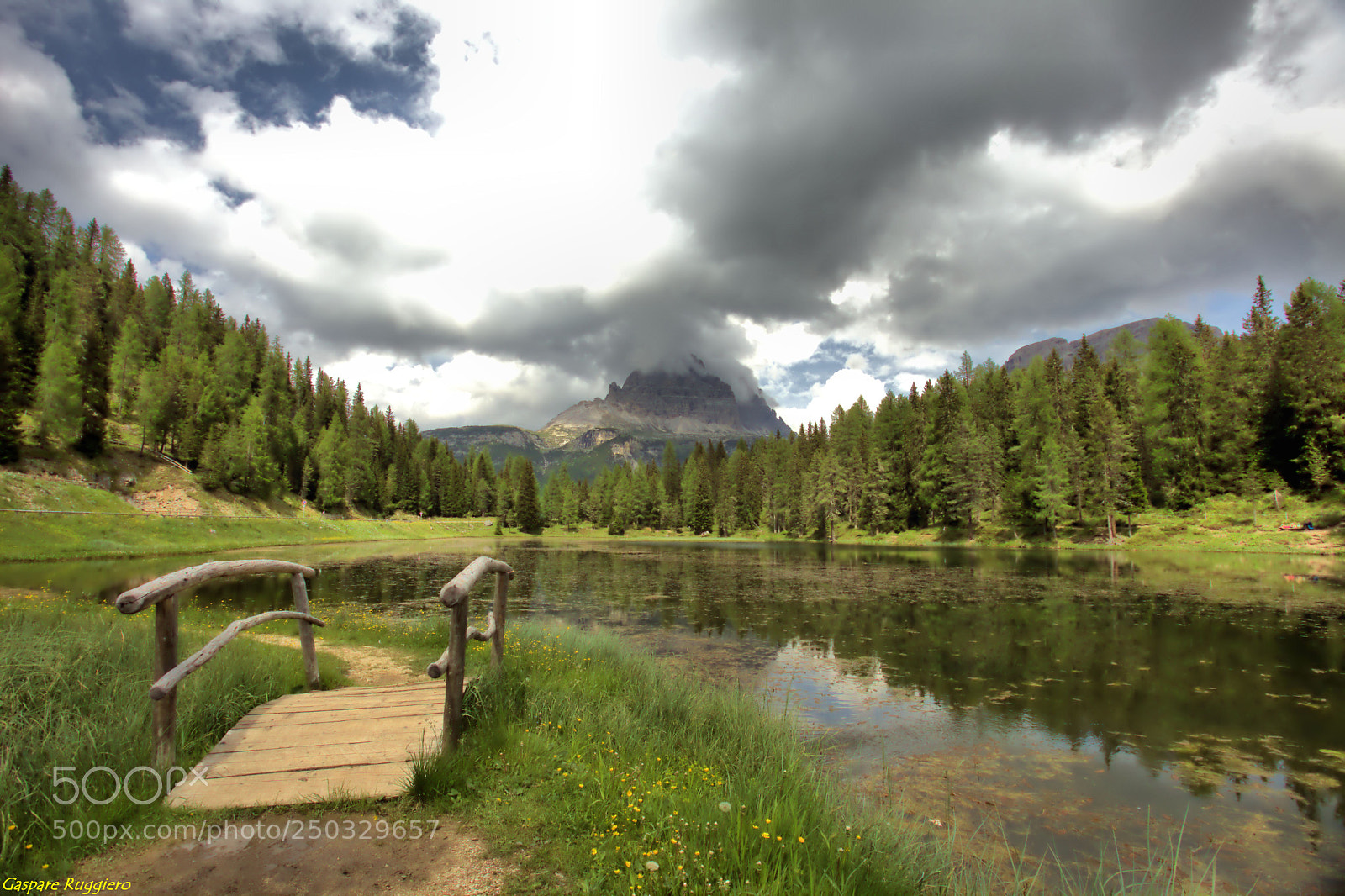 Canon EOS 5D Mark II sample photo. Bridge photography