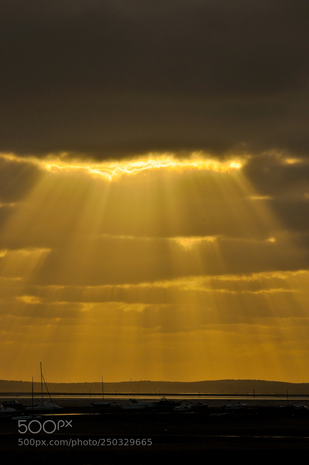 Nikon D90 sample photo. Hms photography