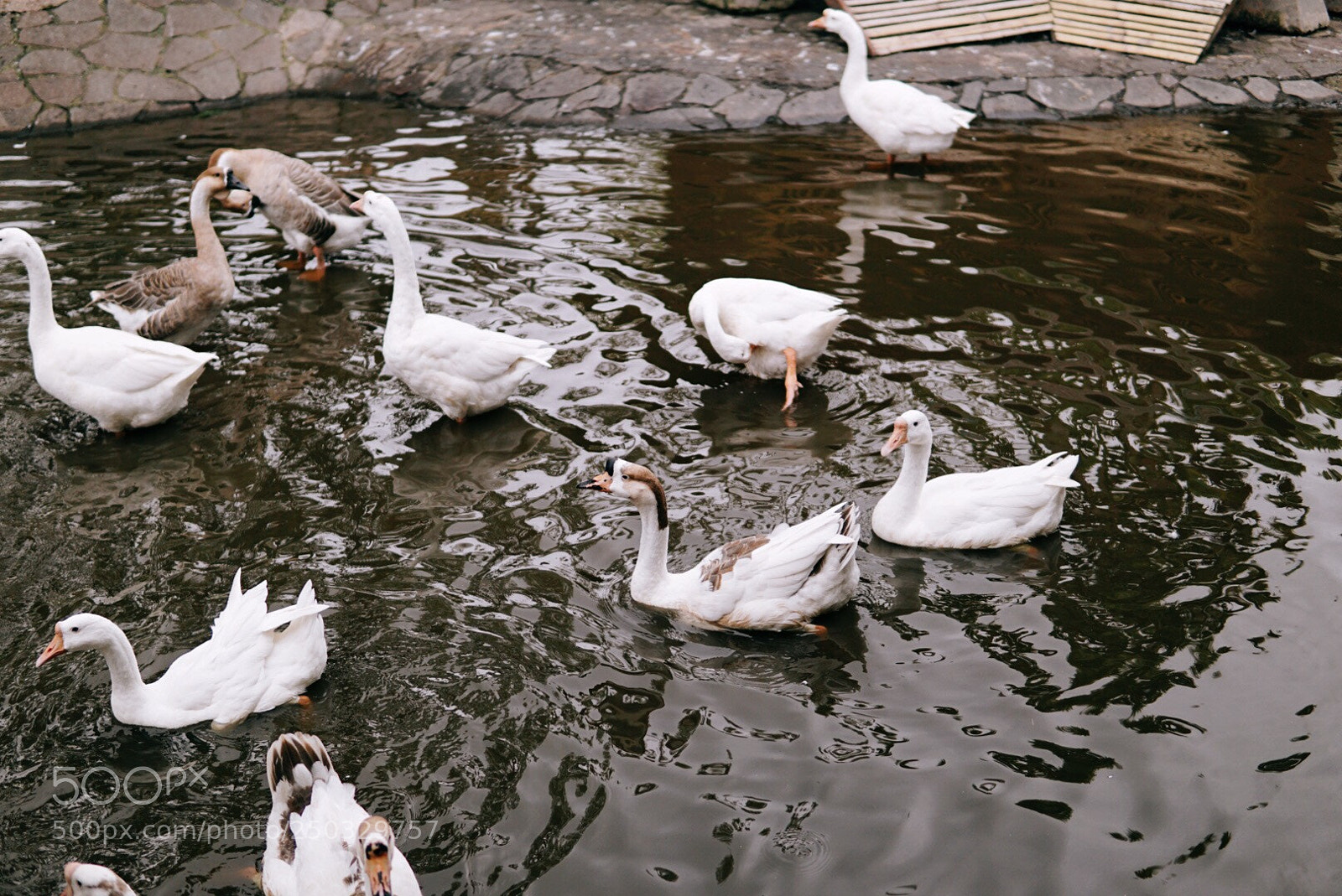 Sony a6000 sample photo. Untitled photography