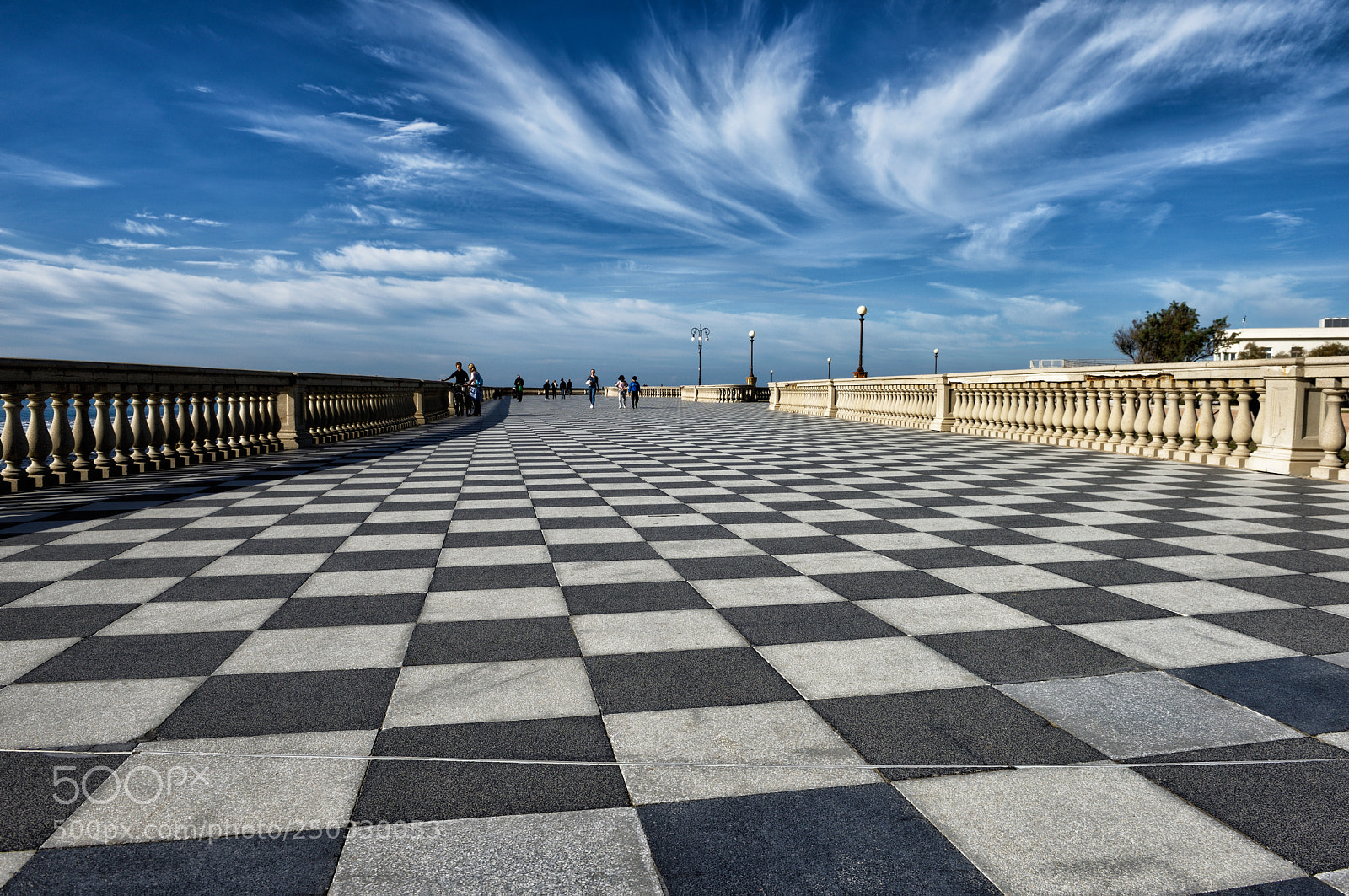 Nikon D810 sample photo. In sky and earth photography