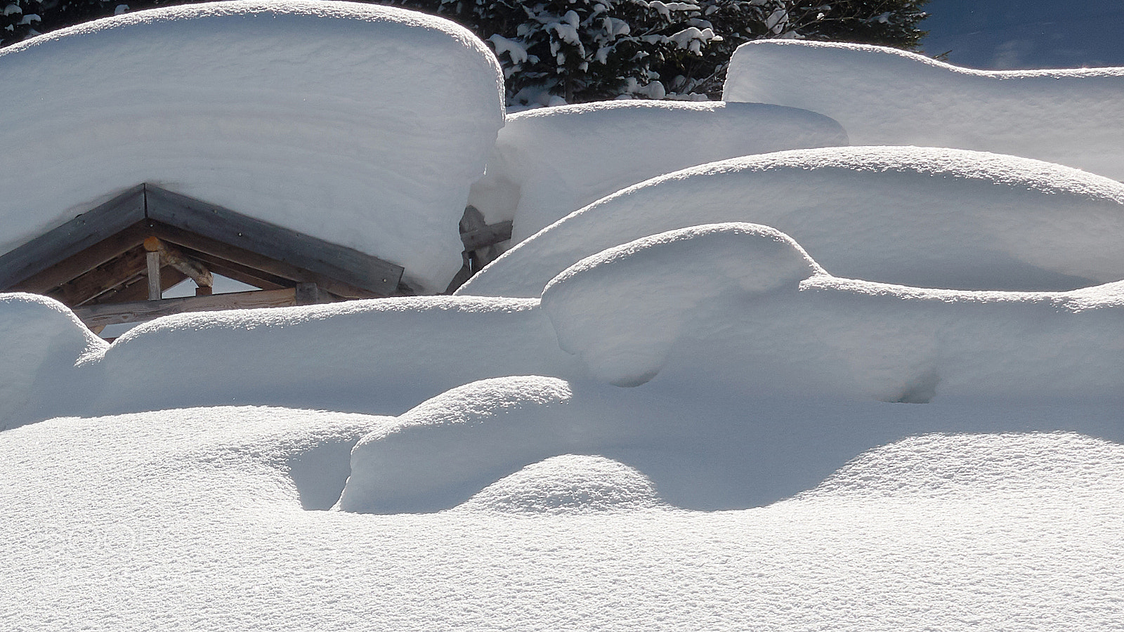 Sony DSC-RX100M5 sample photo. Snow covered photography