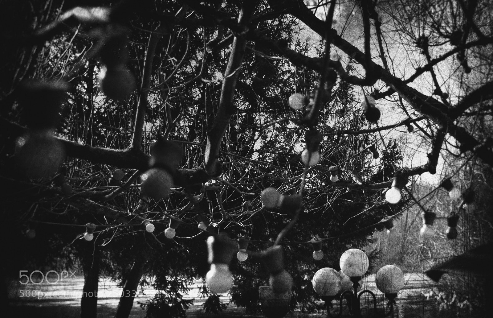 Nikon D7100 sample photo. Le bord de seine... photography