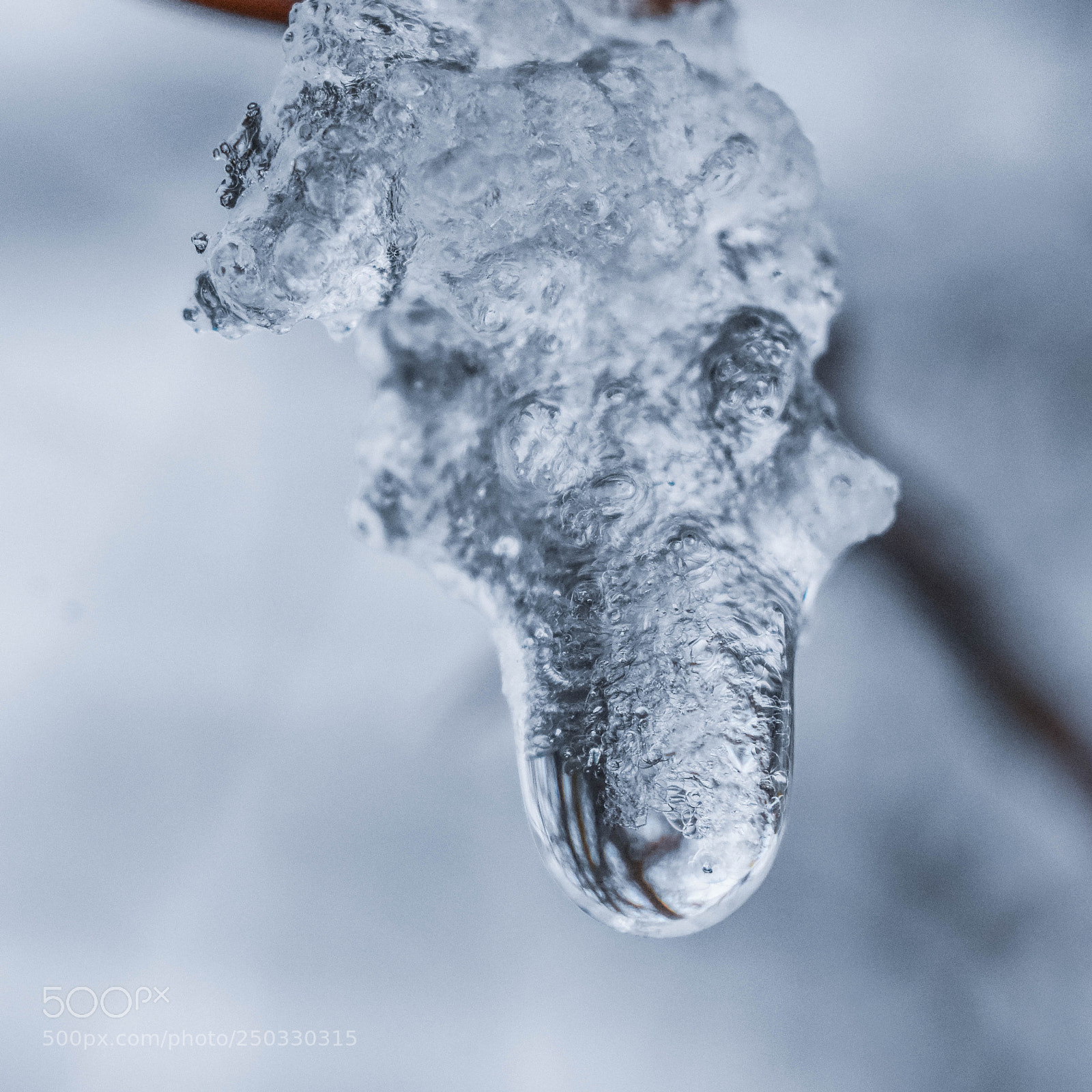 Nikon D3400 sample photo. Frozen photography