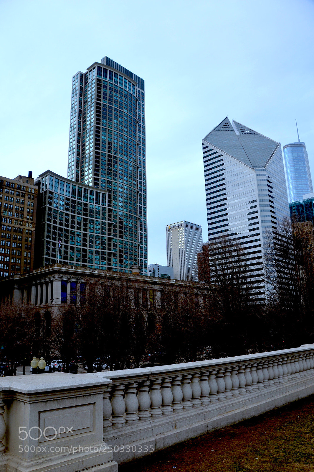 Nikon D3100 sample photo. Chicago skyscrapers photography