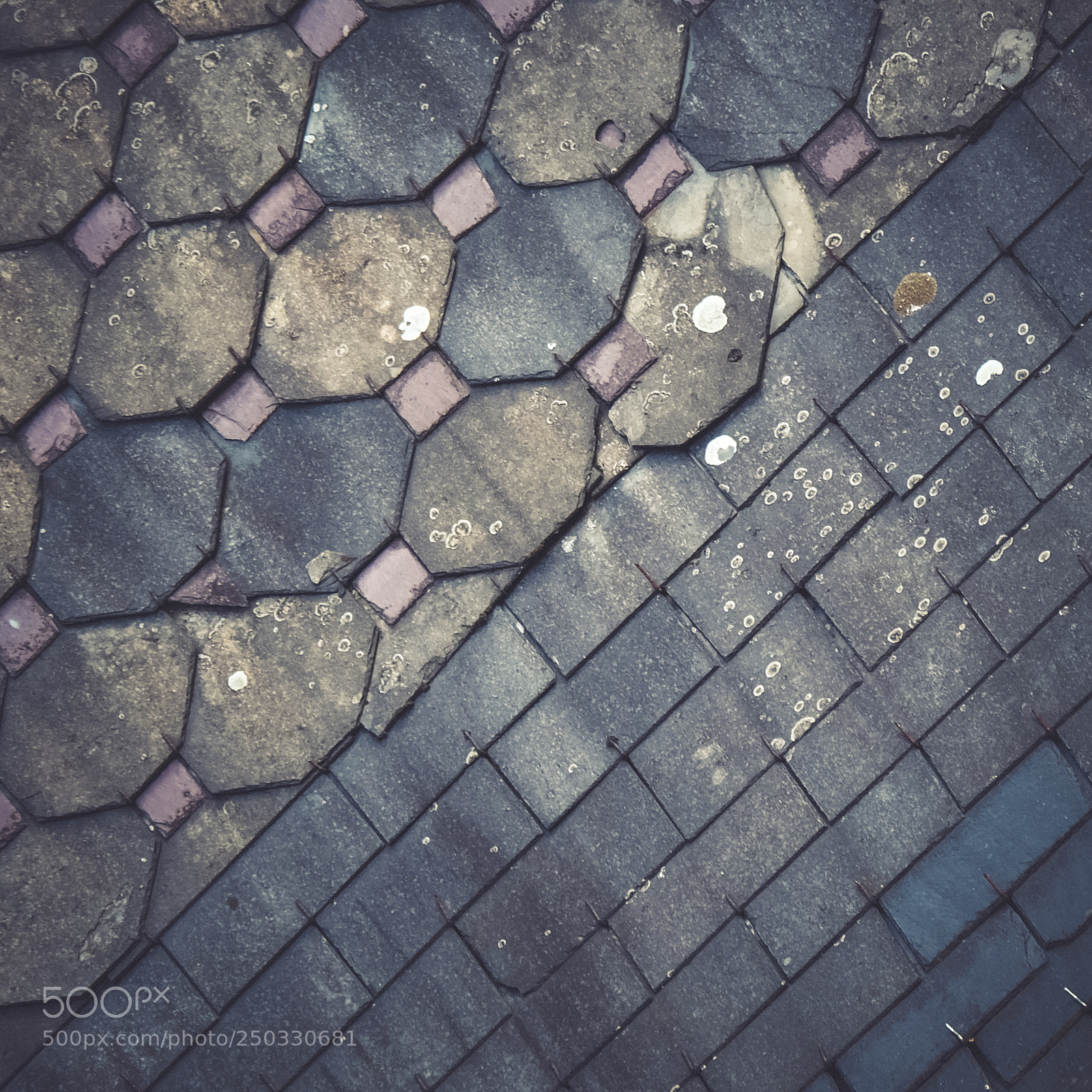 Fujifilm X-T10 sample photo. Carré de toi photography