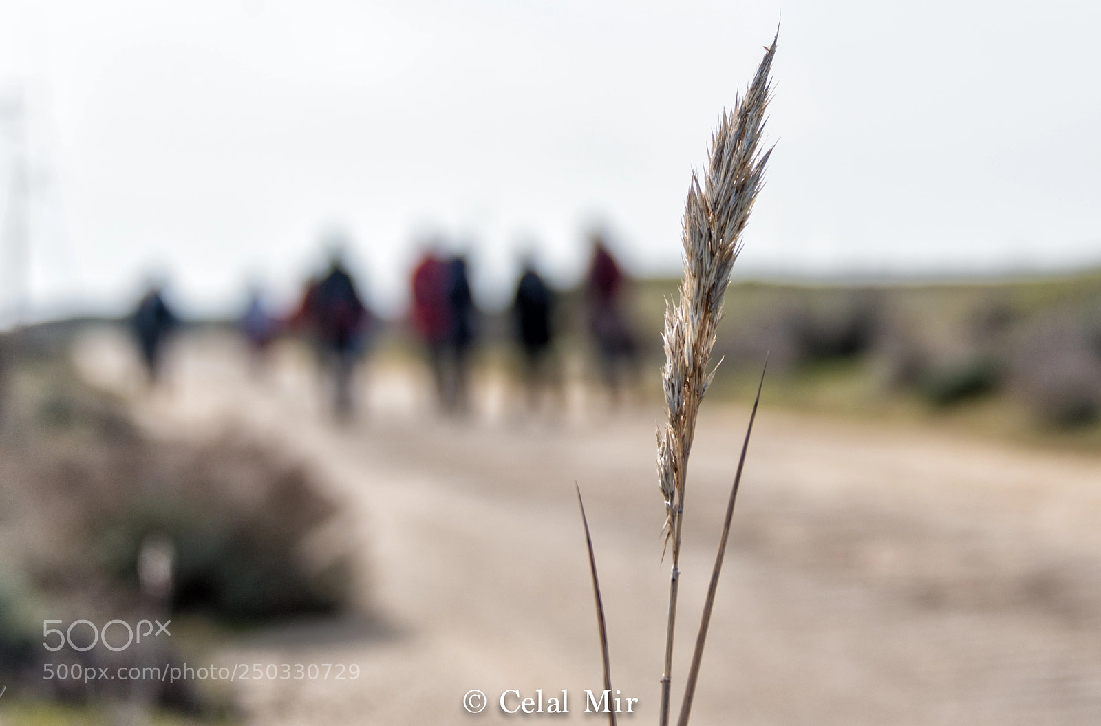 Nikon D610 sample photo. Long trip photography