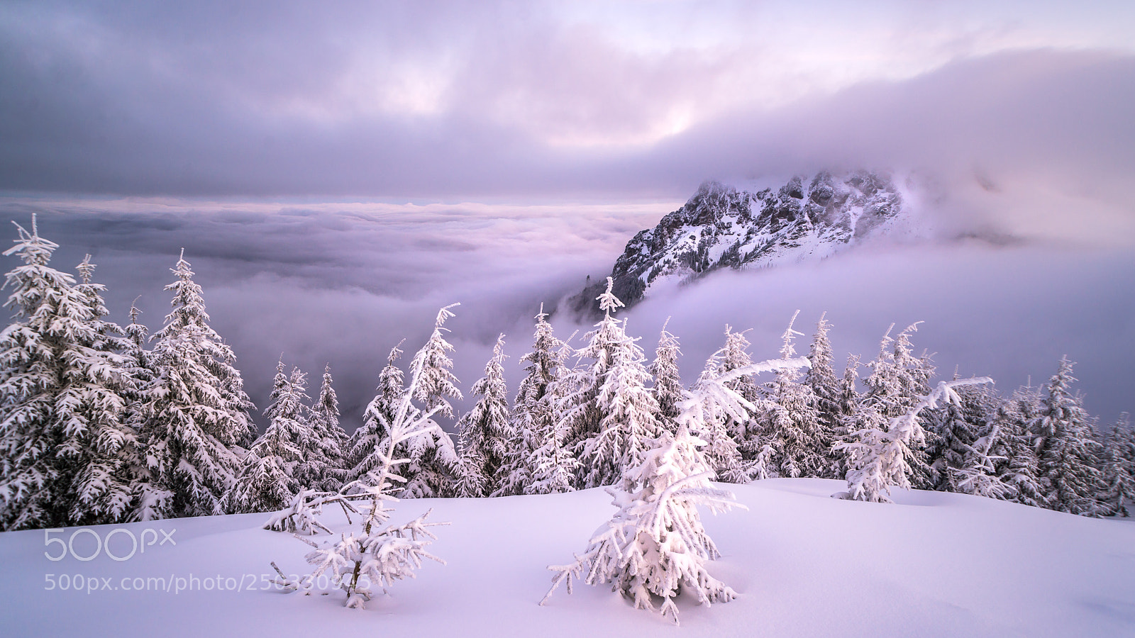 Nikon D610 sample photo. Magic winter mountains photography