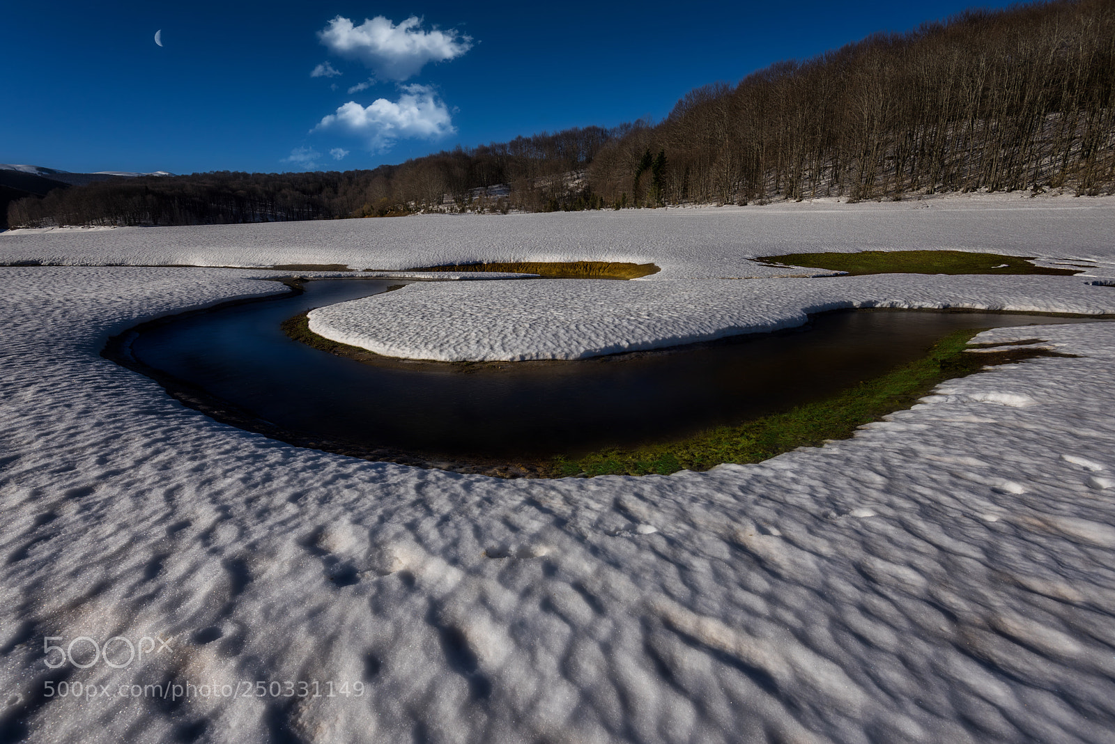 Nikon D810 sample photo. Winter curve photography