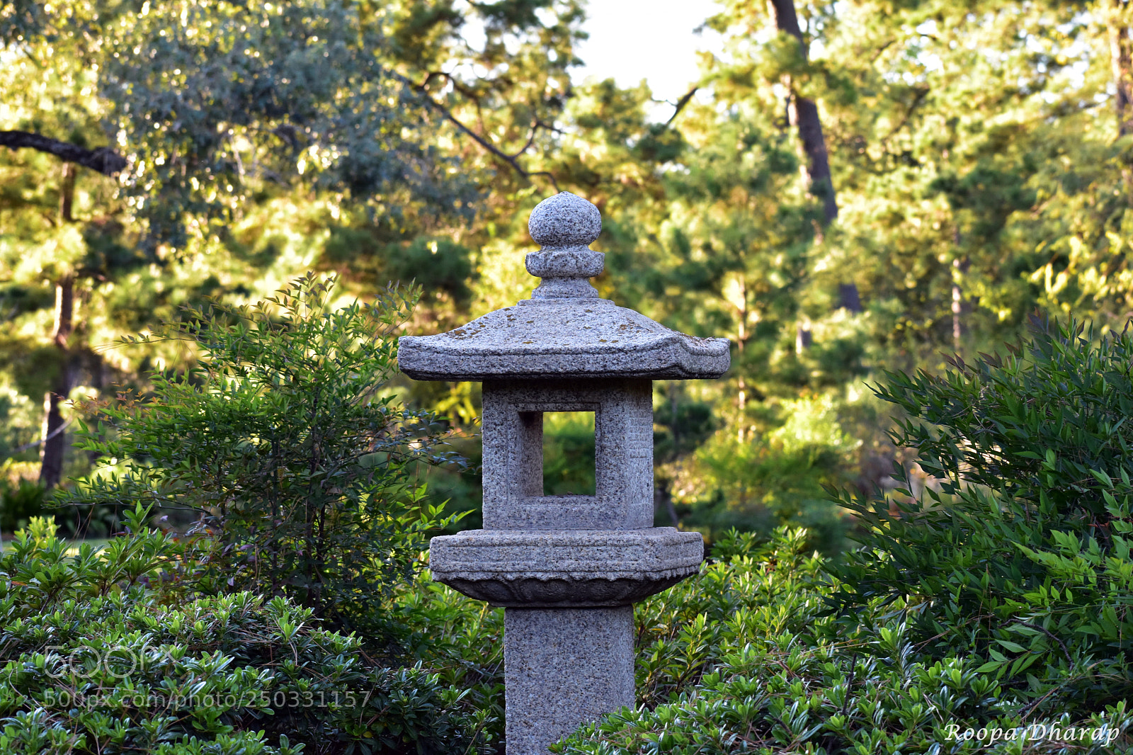 Nikon D3400 sample photo. Stone lamp photography
