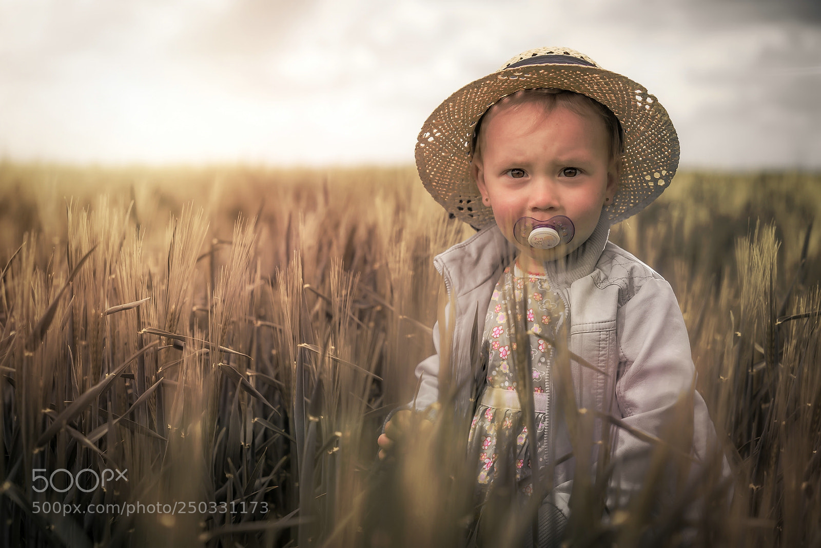 Sony a7R sample photo. ... photography