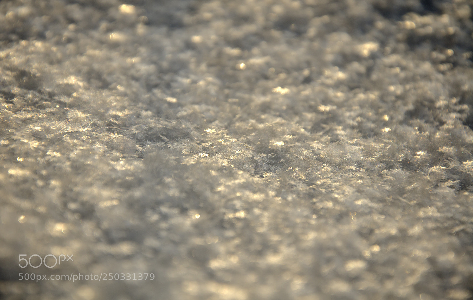 Nikon D7000 sample photo. Snowflakes in sunset light photography