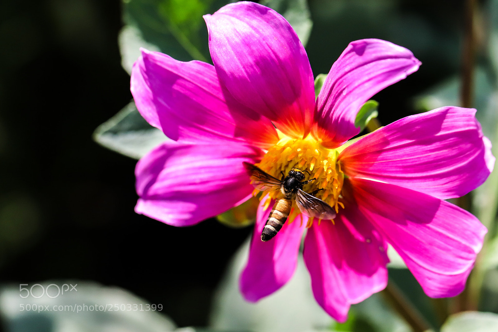 Canon EOS 6D Mark II sample photo. Untitled photography