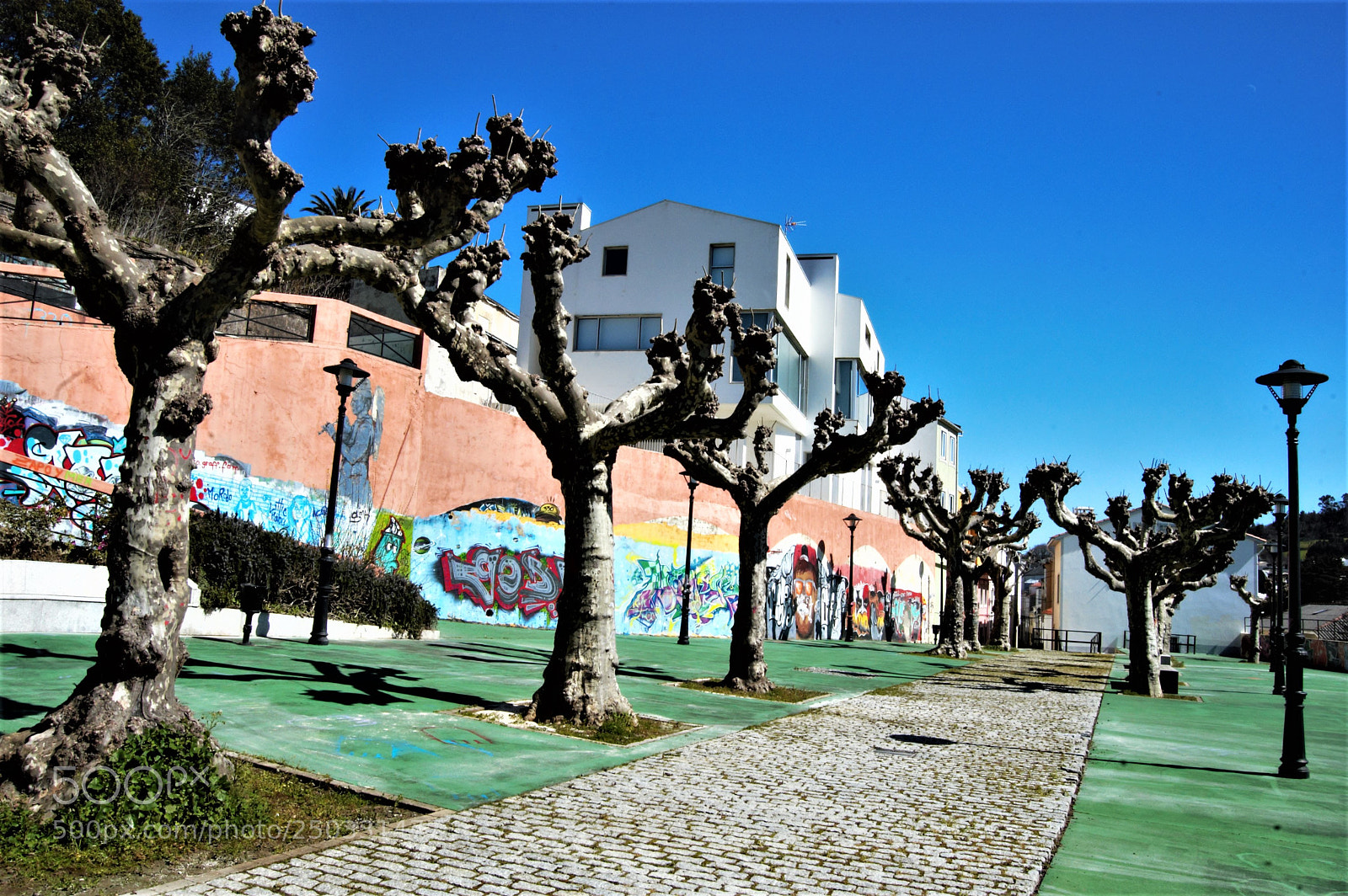 Nikon D40 sample photo. Parque de san roque photography