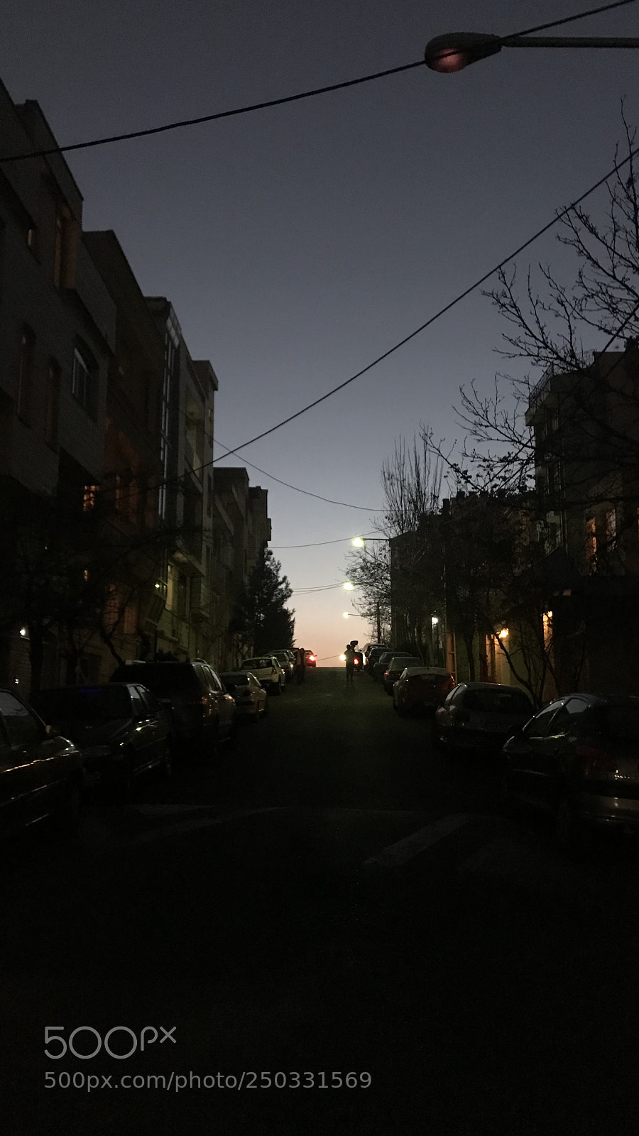 Apple iPhone 7 Plus sample photo. Untitled photography