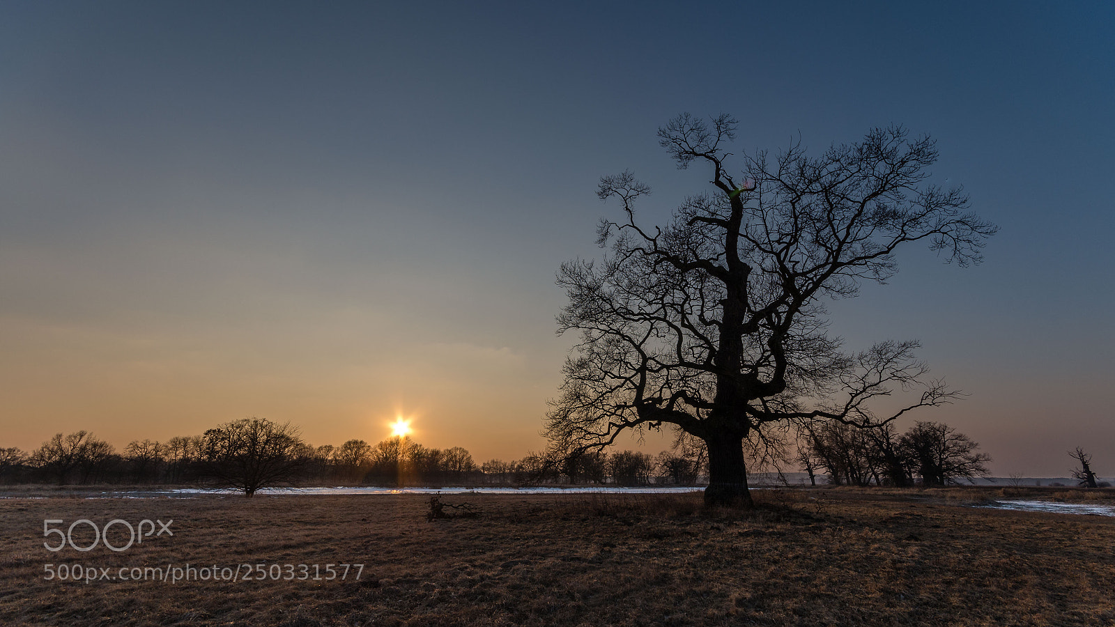 Pentax K-50 sample photo. Sunset in rogalin photography