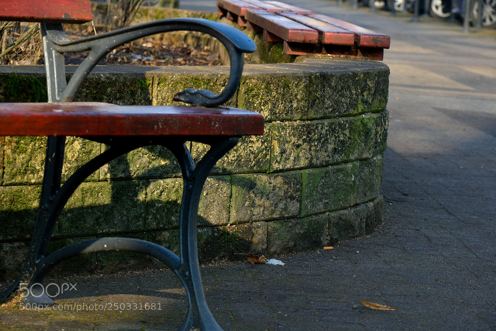 Nikon D3300 sample photo. Bench photography