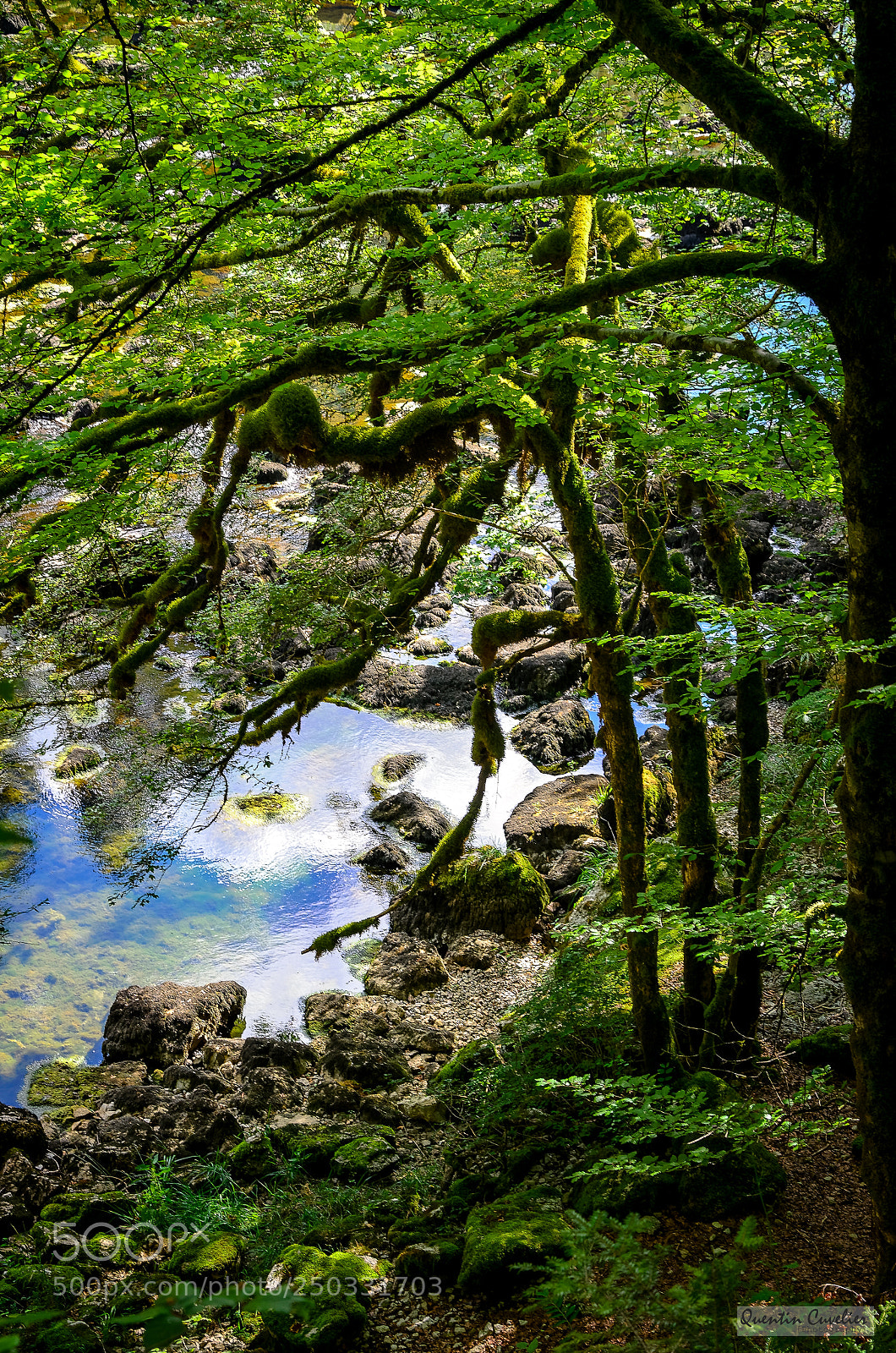 Nikon D7000 sample photo. Saut du doubs photography