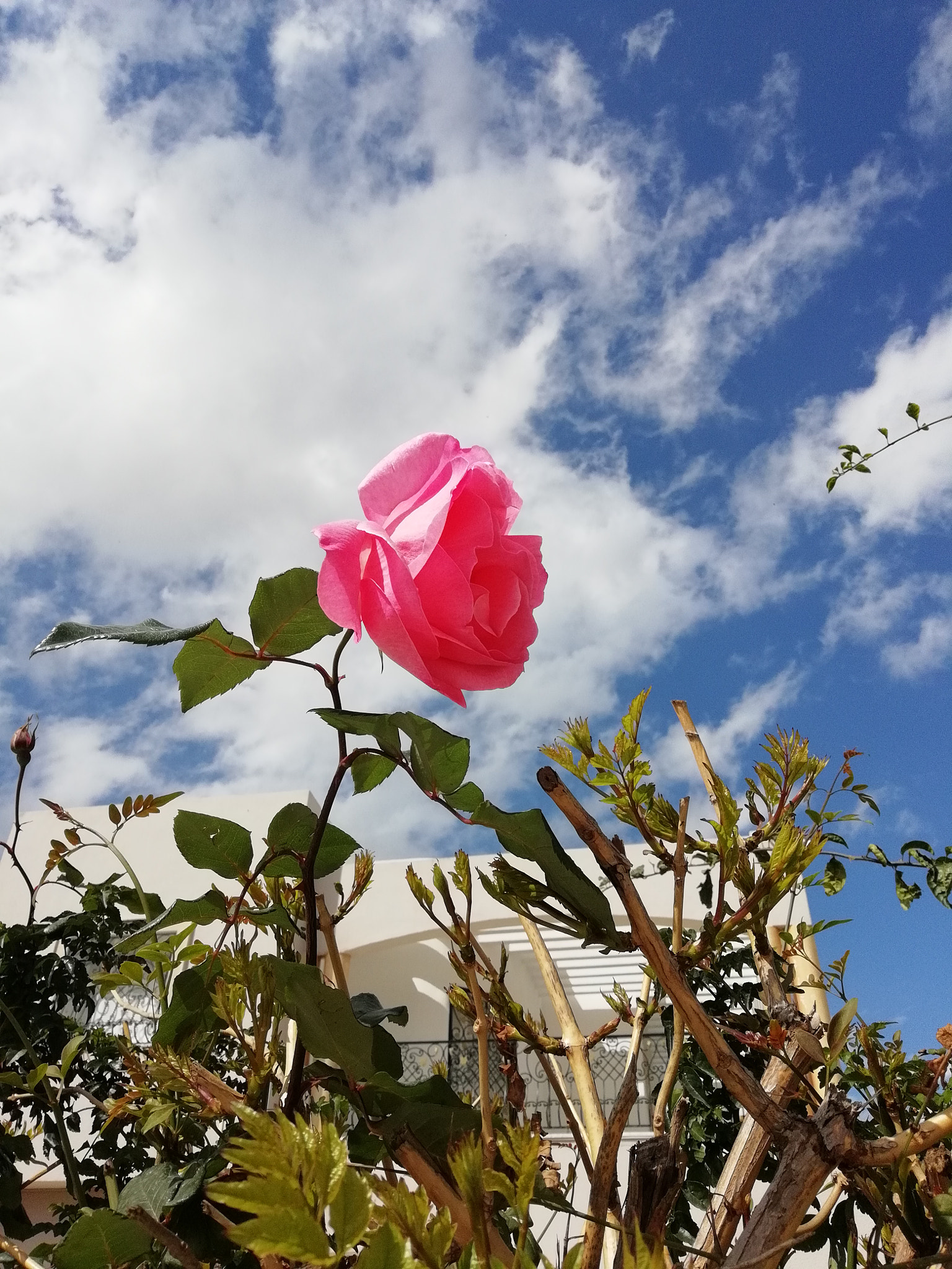 HUAWEI P SMART sample photo