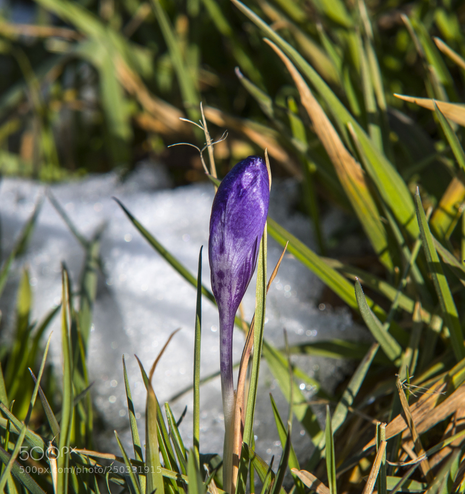 Nikon D500 sample photo. S p r i photography