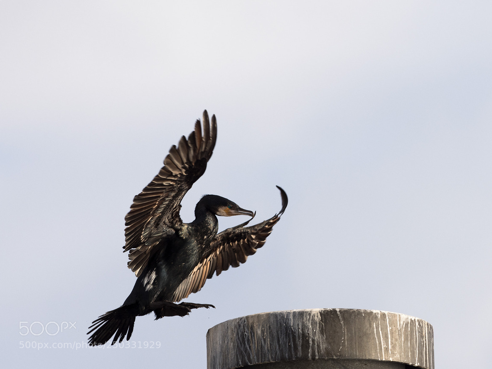 Olympus OM-D E-M1 Mark II sample photo. Olympus digital camera photography