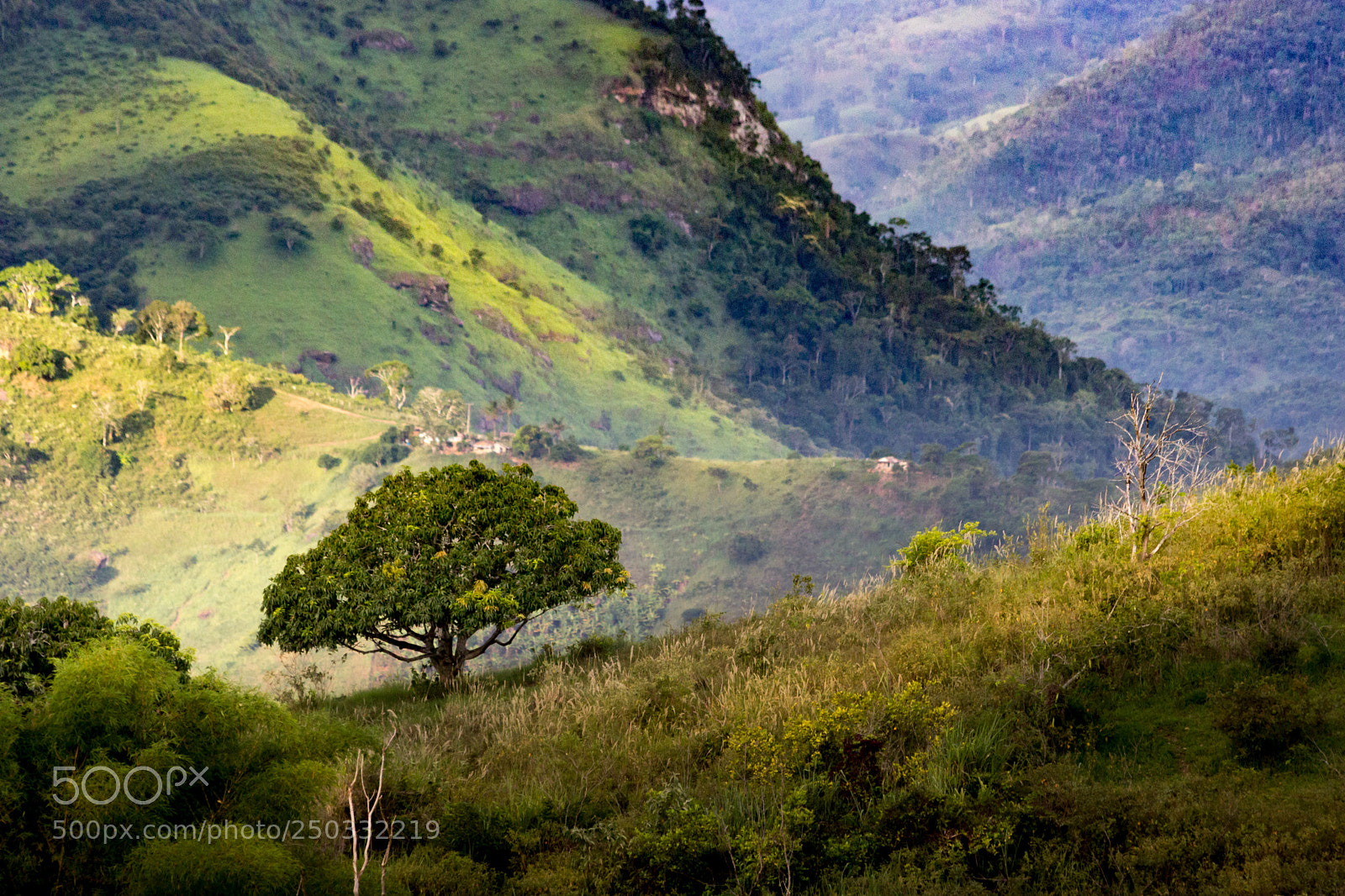 Canon EOS 600D (Rebel EOS T3i / EOS Kiss X5) sample photo. Serra do mar al photography
