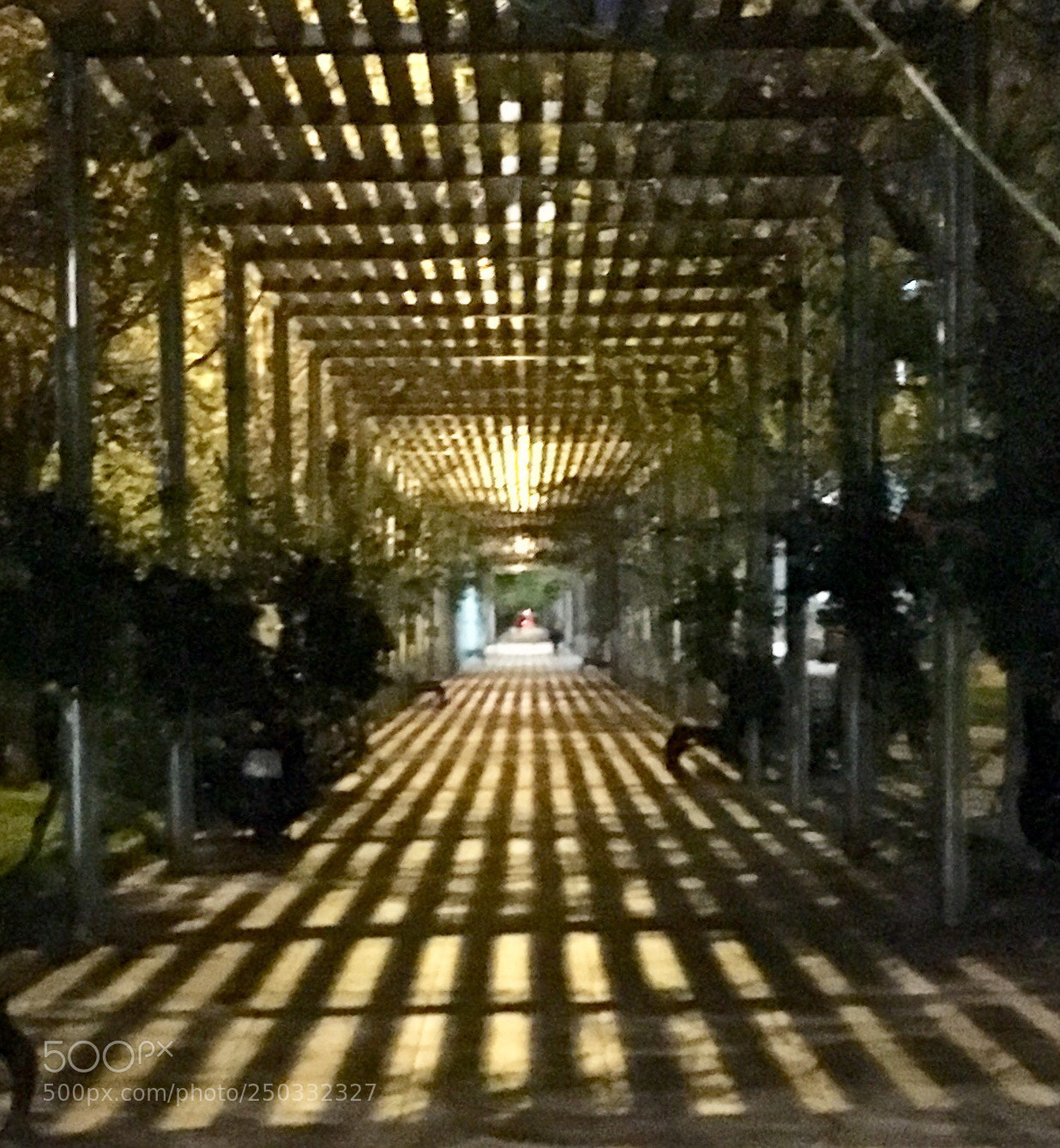 Apple iPhone SE sample photo. Untitled photography