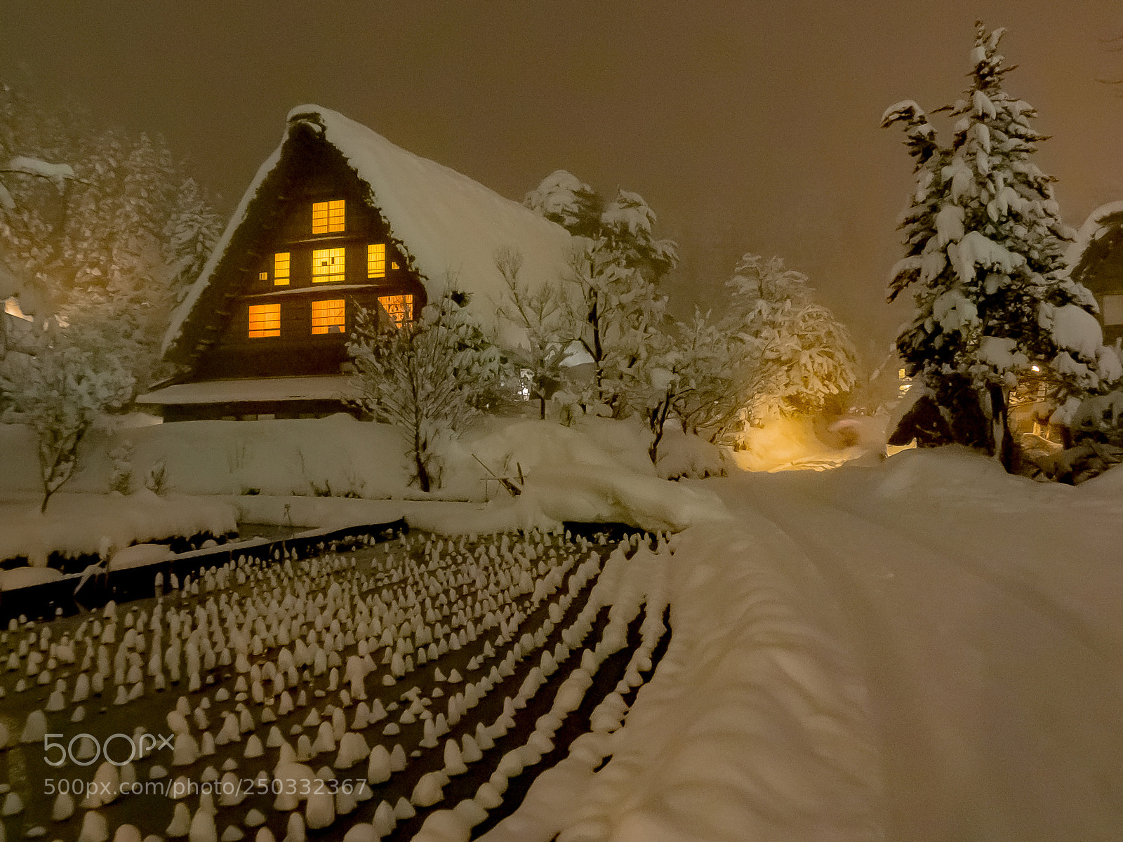 Olympus OM-D E-M10 sample photo. Shirakawa-go at night photography