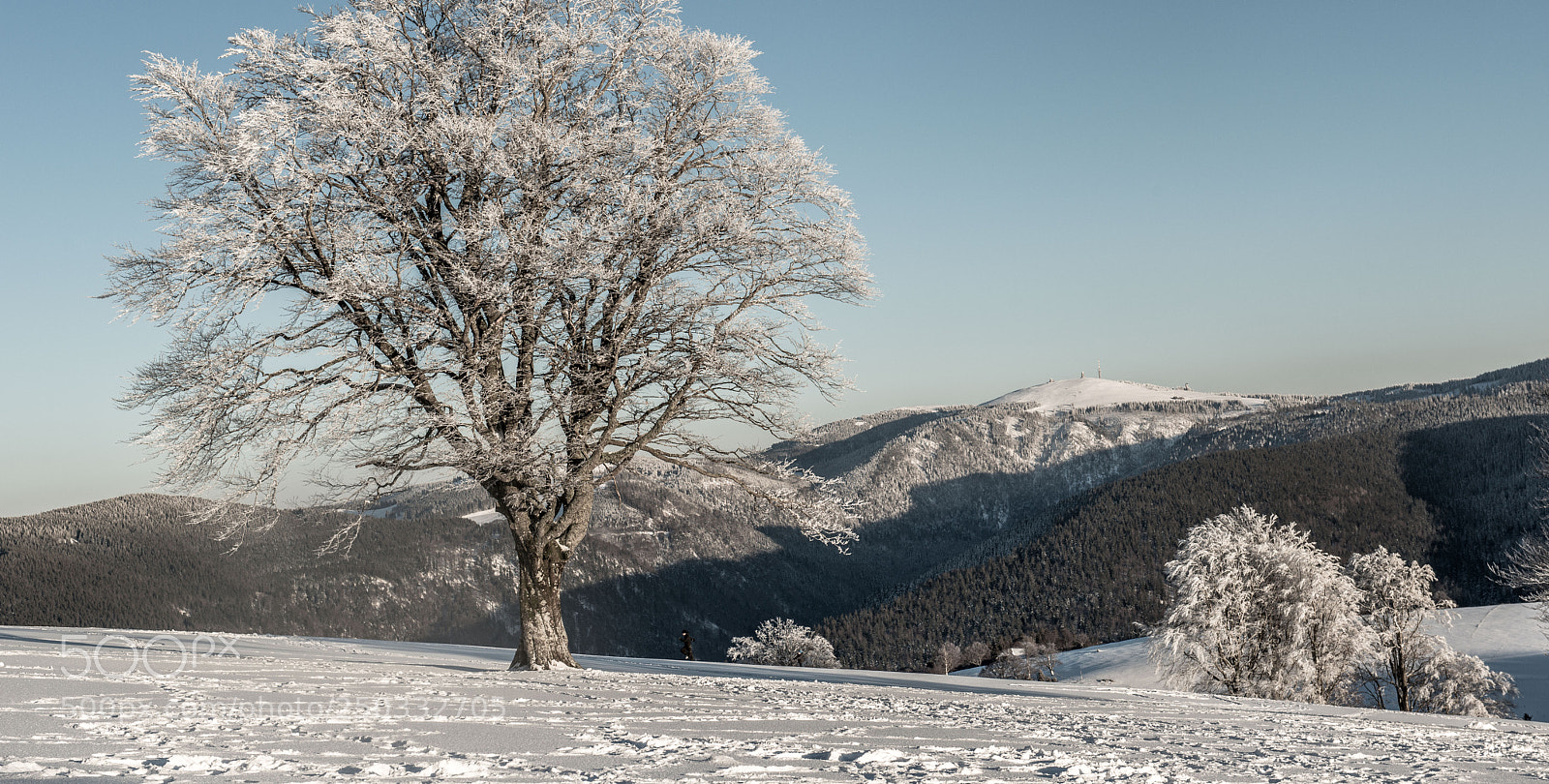 Nikon D800 sample photo. Strom photography