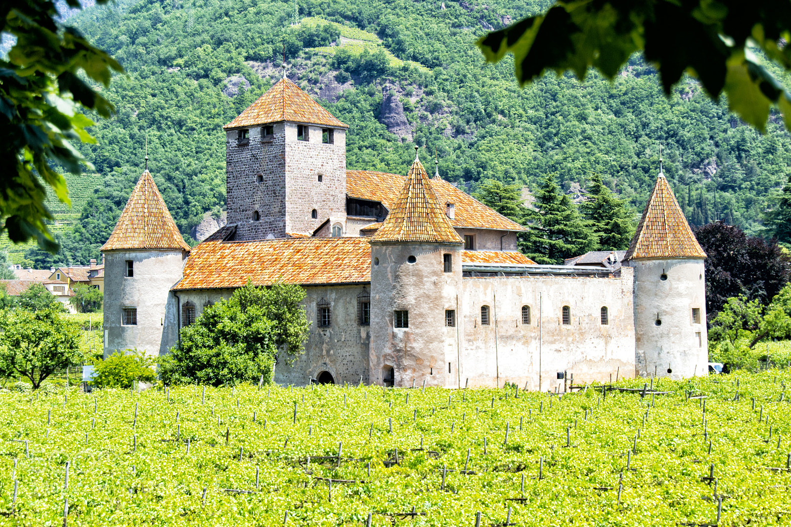 Nikon D3100 sample photo. The historical beautiful walls photography