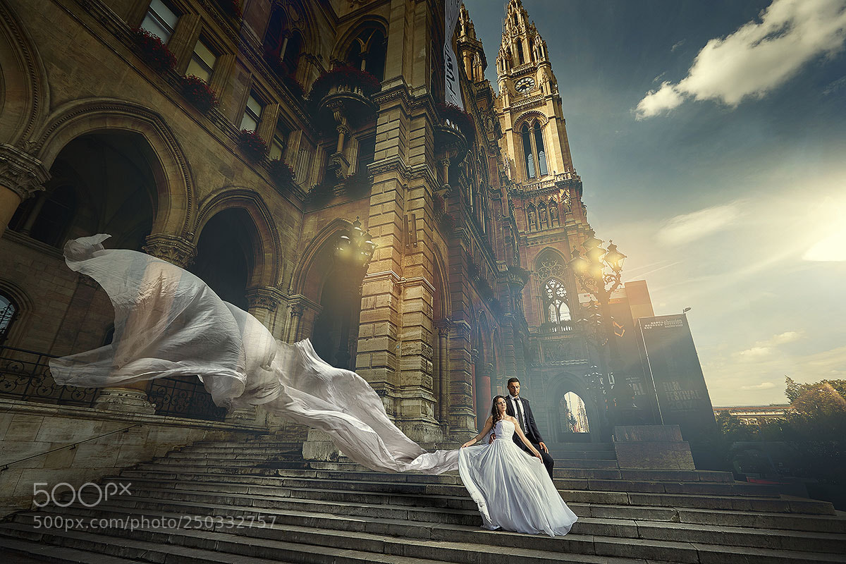 Canon EOS-1D X sample photo. Viena 01 photography