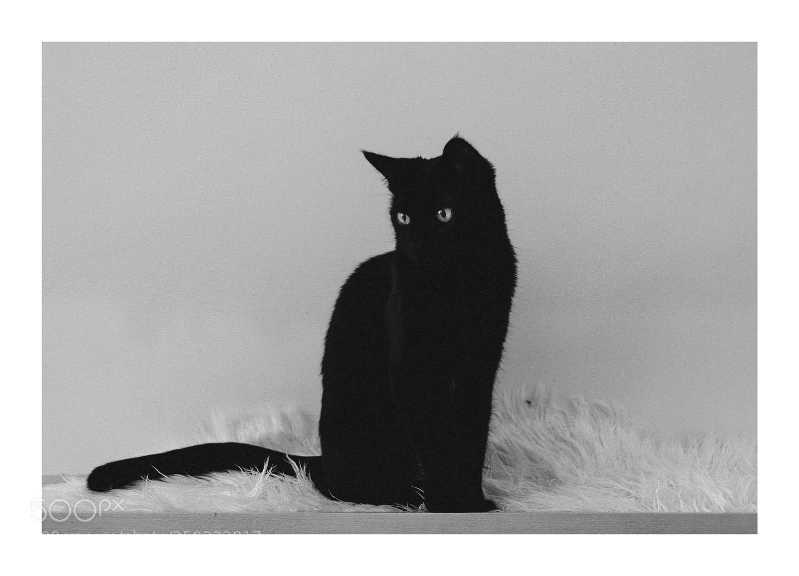 Pentax K-5 sample photo. Contrast photography