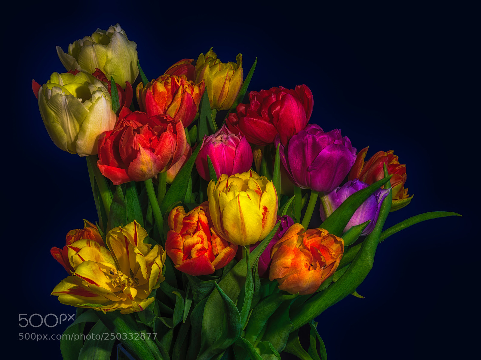 Nikon D810 sample photo. Colors of spring photography