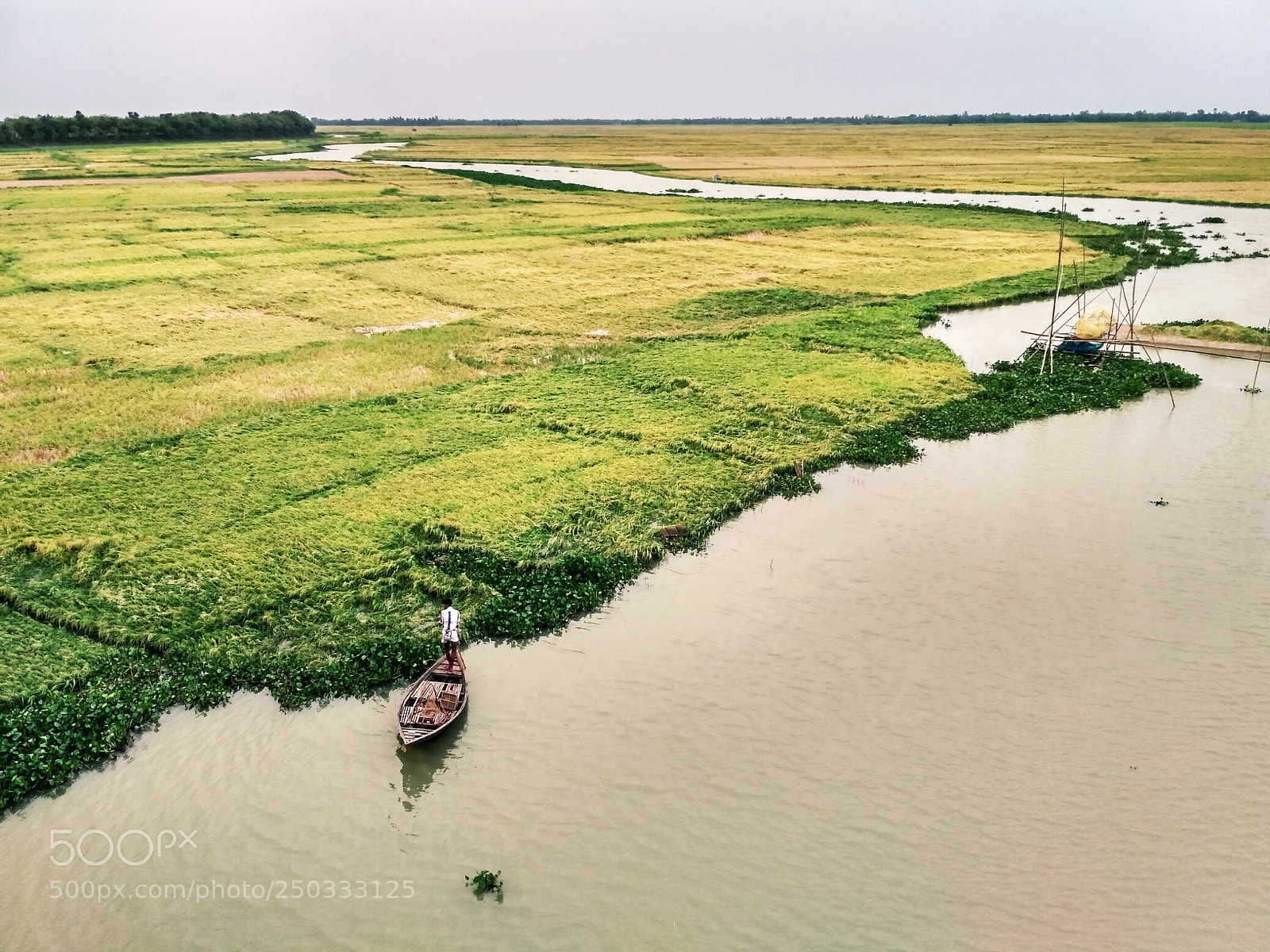 Xiaomi Redmi 3S sample photo. Flooded photography