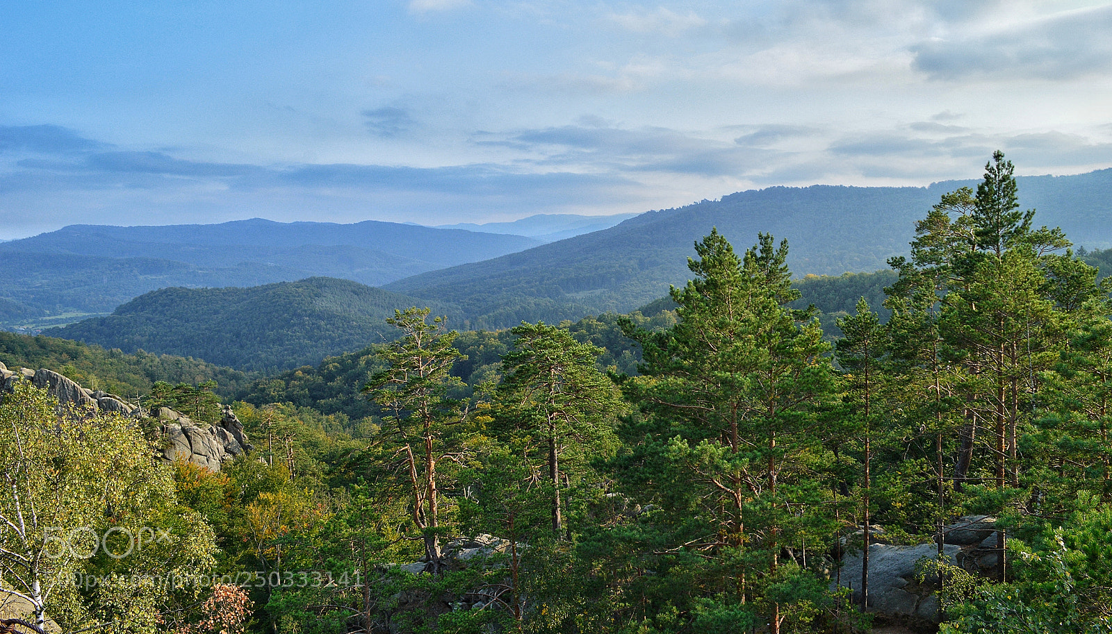 Nikon D3200 sample photo. Untitled photography