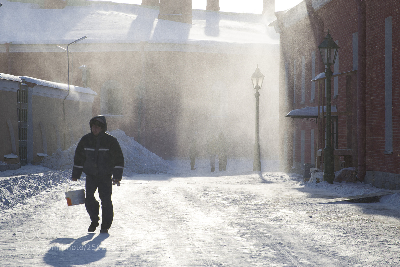 Nikon D610 sample photo. Snow dust photography