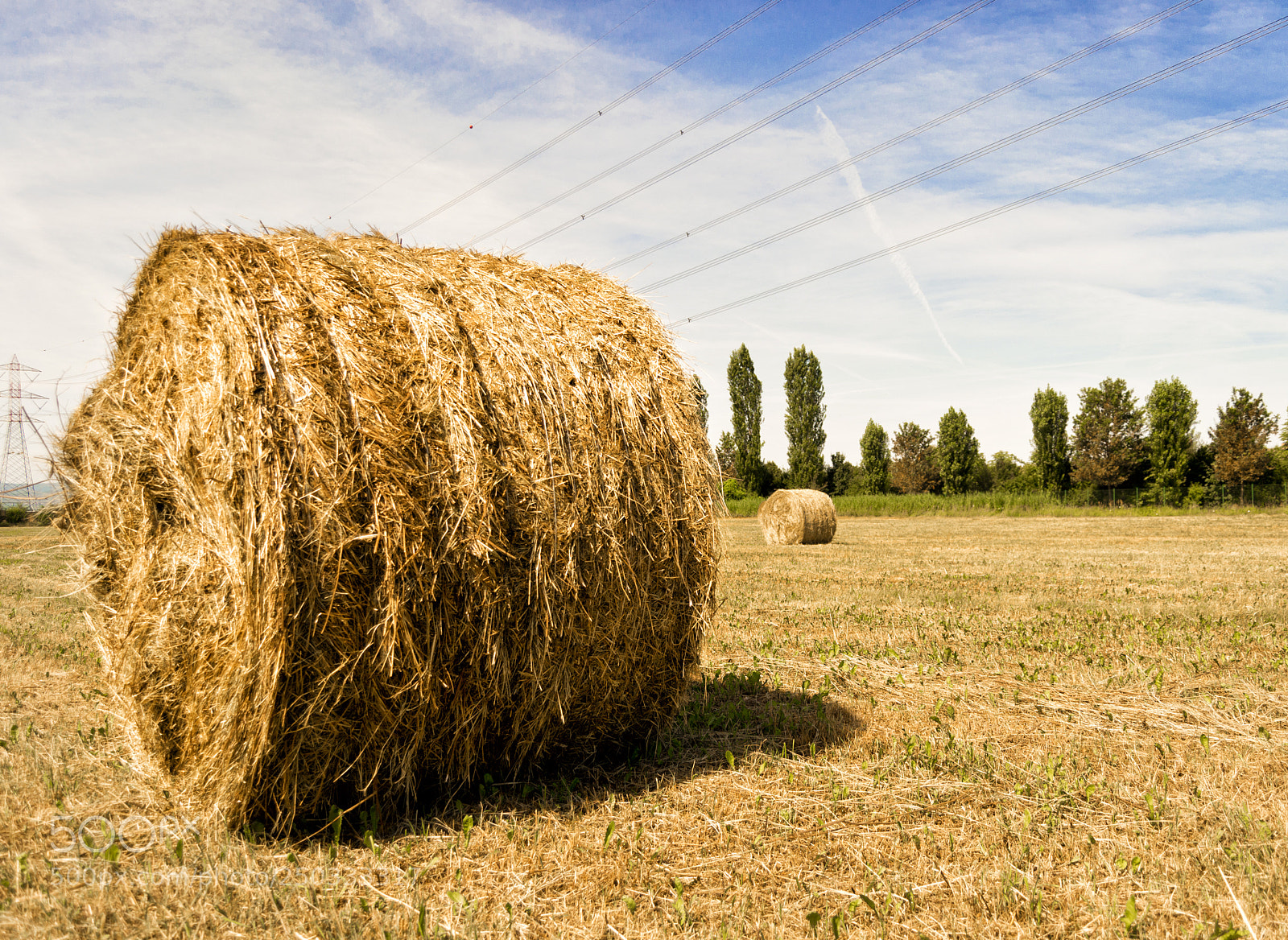 Nikon D3100 sample photo. Hay bale in field photography