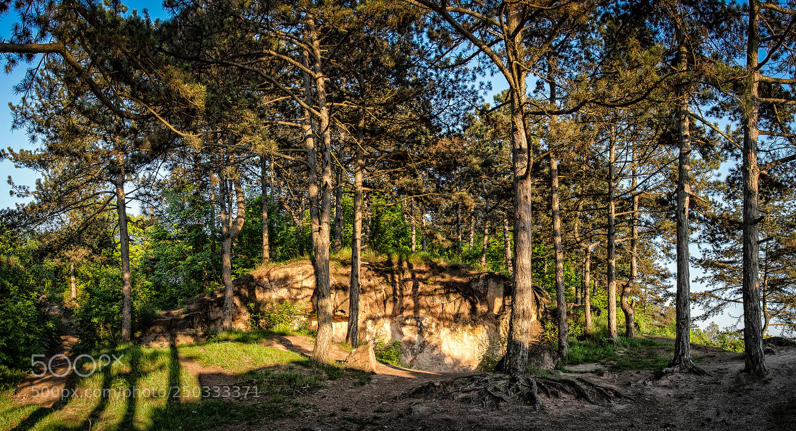Nikon D7200 sample photo. At the mouth of photography