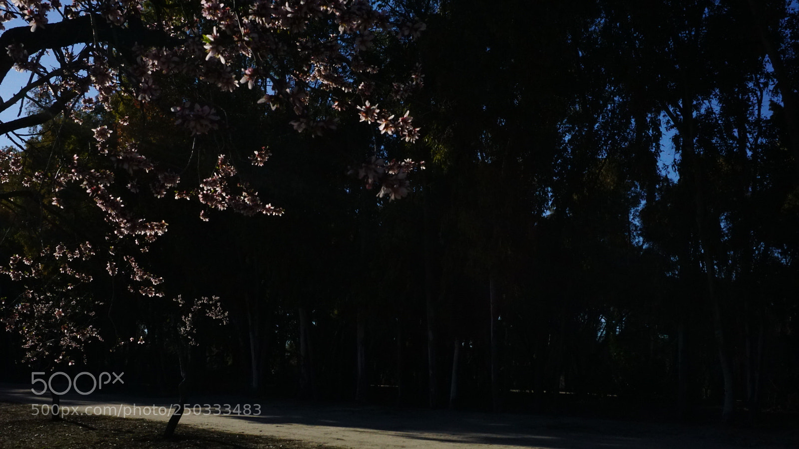 Sony a6000 sample photo. Untitled photography