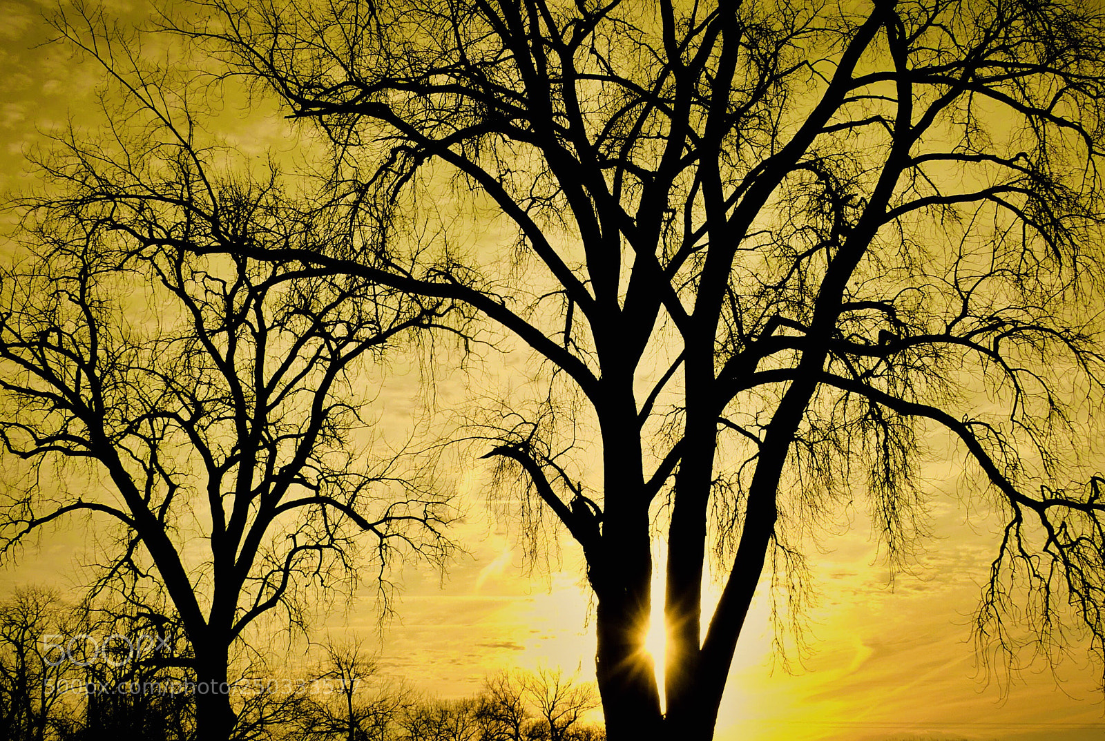 Panasonic Lumix DMC-FZ300 sample photo. Sunrise photography
